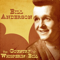 City Lights 2 - Bill Anderson