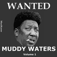 I Cant' Be Satisfied - Muddy Waters