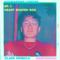 Glass Animals - Heart-Shaped Box lyrics