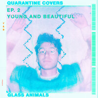 Young And Beautiful - Glass Animals