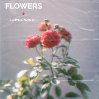 Flowers - Lloyd P-White