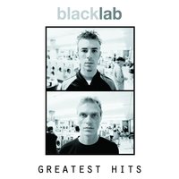 Always - Black Lab