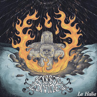 Abelion - Boisson Divine