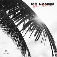 Slow Dance - Mr Lambo