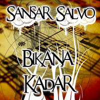 Waterfall - Sansar Salvo