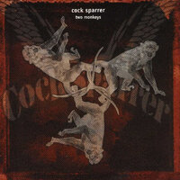 Before the Flame Dies - Cock Sparrer