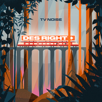 Des Right - TV Noise