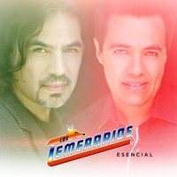 Es Ella la Causa - Los Temerarios