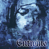 Veiled Woman - Entwine