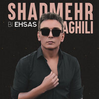Bi Ehsas - Shadmehr Aghili