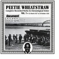 Hot Springs Blues (Skin And Bones) - Peetie Wheatstraw