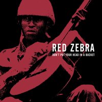 A Truth for a Lie - Red Zebra