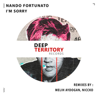 I'm Sorry - Nando Fortunato