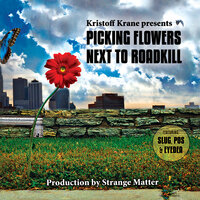 Picking Flowers Next To Roadkill - Kristoff Krane