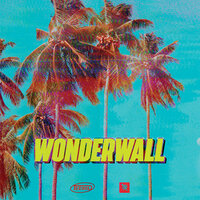 Wonderwall - Teemid