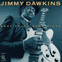 Rockin D. Blues - Jimmy Dawkins