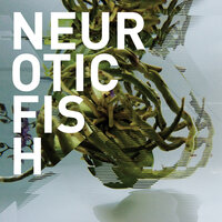 Silence - Neuroticfish