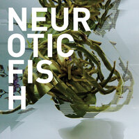 Former Me - Neuroticfish