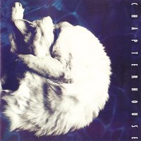 Satin Safe - Chapterhouse
