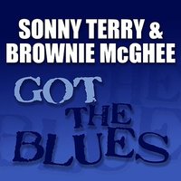 Everybody's Blue - Sonny Terry, Brownie McGhee