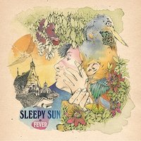 Wild Machines - Sleepy Sun