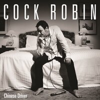 Baby the Rain Must Fall - Cock Robin