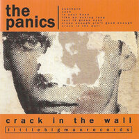 Crack In The Wall - The Panics