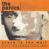 Like An Aching Lung - The Panics