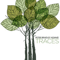 Something 'Bout You Lately - Peter Bradley Adams