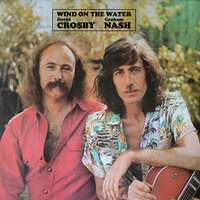 Naked in the Rain - David Crosby, Graham Nash