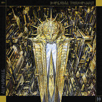 Excelsior - Imperial Triumphant