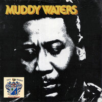 Walking in the Park - Muddy Waters