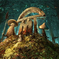 Savant on Mushrooms - Infected Mushroom, Savant