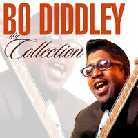 Sizteen Tons - Bo Diddley