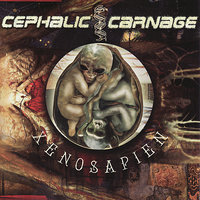 Divination And Volition - Cephalic Carnage