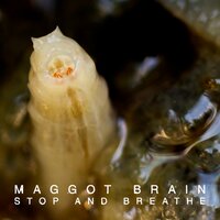 Silence - Maggot Brain