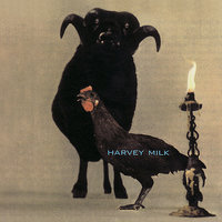 A Small Turn Of Human Kindness - Harvey Milk