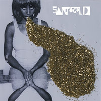 I'm A Lady - Santigold, Trouble Andrew