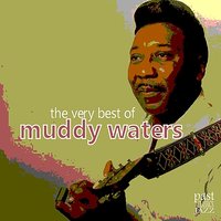 Country Blues 2 - Muddy Waters