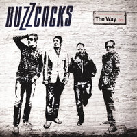 The Way - Buzzcocks