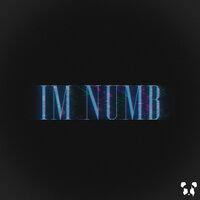 Im Numb - Panda Eyes