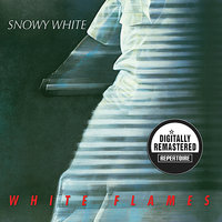 Bird Of Paradise 1 - Snowy White