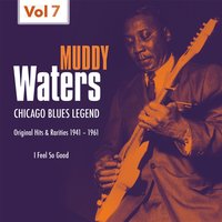 Don´t Go No Farther - Muddy Waters