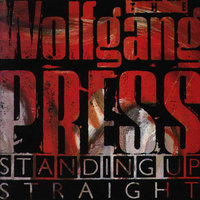 Hammer the Halo - The Wolfgang Press