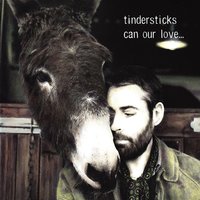 Don't Ever Get Tired - Tindersticks