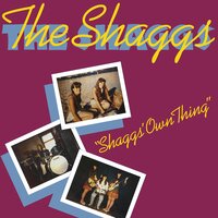 You're Somethin' Special To Me - The Shaggs