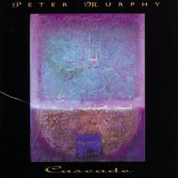 Mercy Rain - Peter Murphy
