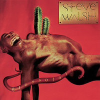 Mascara Tears - Steve Walsh