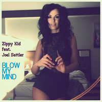 Blow My Mind - Joel Sattler