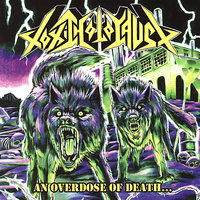Death From Above - Toxic Holocaust